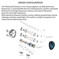 Kinera Celest Phoenixcall 1DD+2BA+2 Micro Planar Drivers IEMs